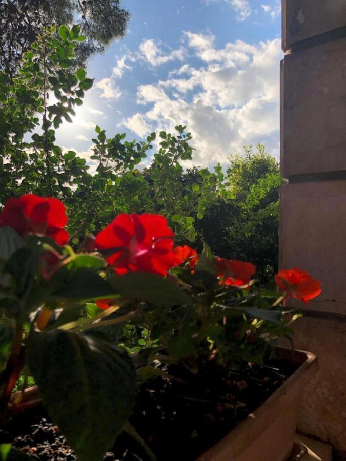 Sunone Dubrovnik Leilighet Eksteriør bilde